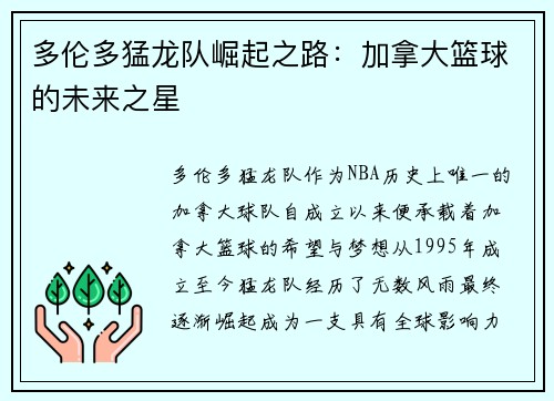 多伦多猛龙队崛起之路：加拿大篮球的未来之星